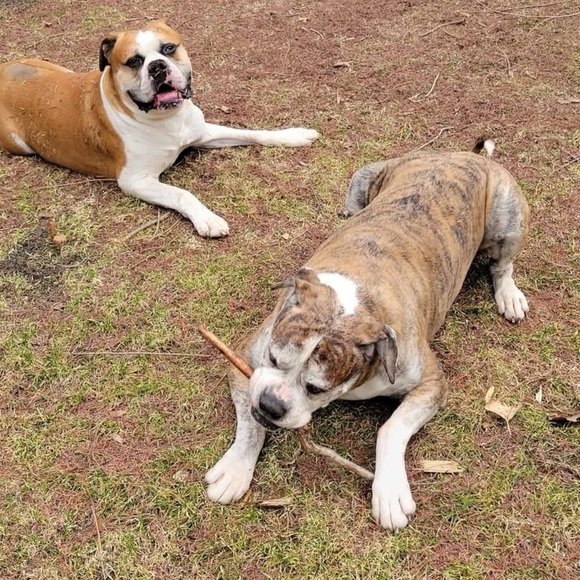 Ally’s @retail_habit: Follow this flyer to be notified 🛍️ - Picture 4 of 6